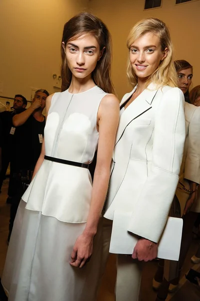 Look 31